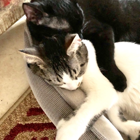 Meet your Posher, Debra - Picture 8 of 8